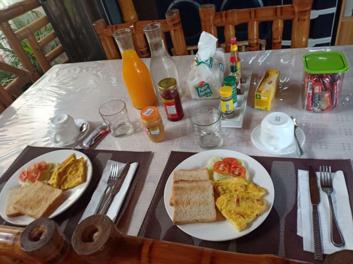 Villa Skanderbeg Guest House Puerto Princesa Bagian luar foto